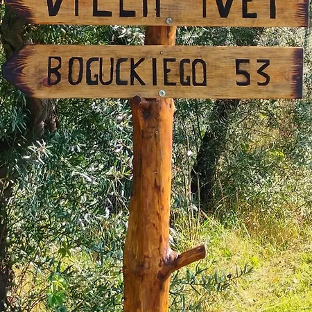 Ivet Penzion