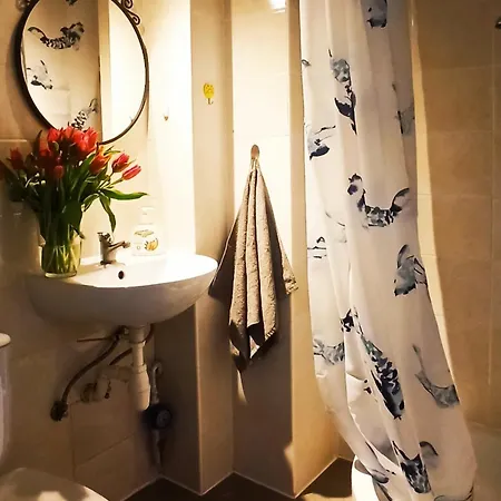 招待所 Ivet 格但斯克